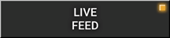 LIVE FEED